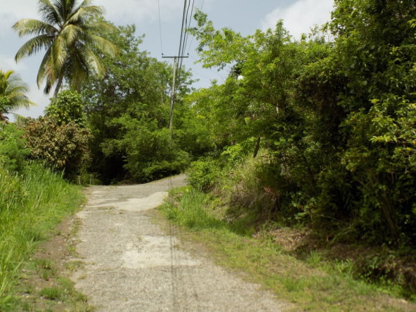 Marigot Bay Land