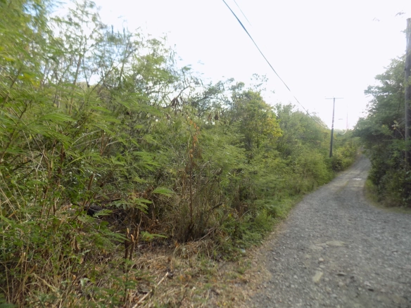 Trouya Land No 356