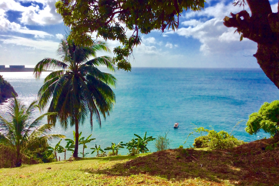 St. Lucia Real Estate 6 Bedroom Property