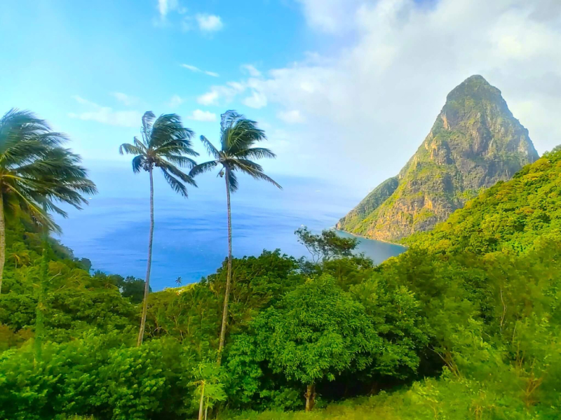 St. Lucia Real Estate Villa Piton nature and pitons