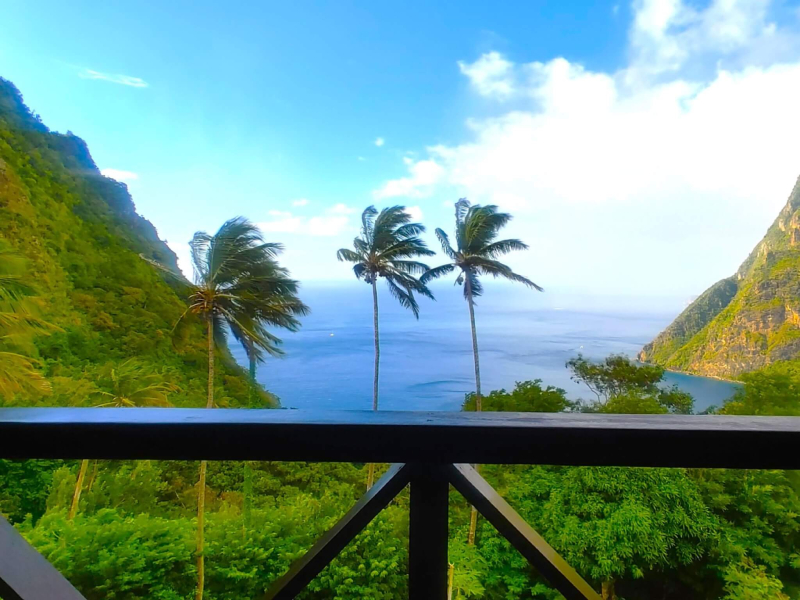 St. Lucia Real Estate Villa Piton coconut trees