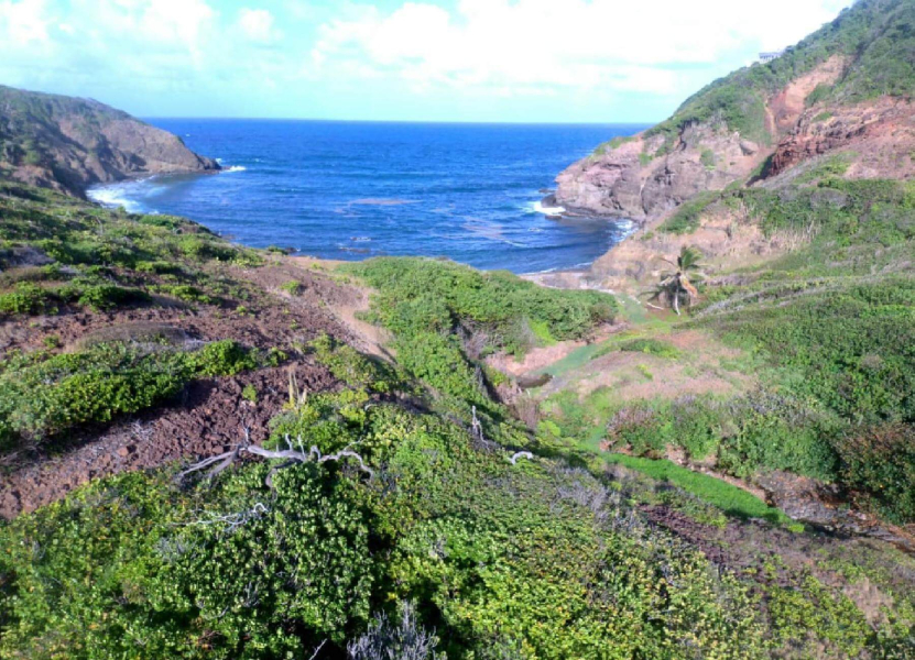 St. Lucia Real Estate Oceanfront Paradise in Cap Estate