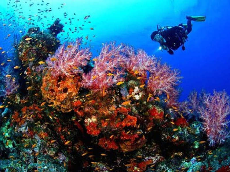 St. Lucia Real Estate Villa Piton scuba diving