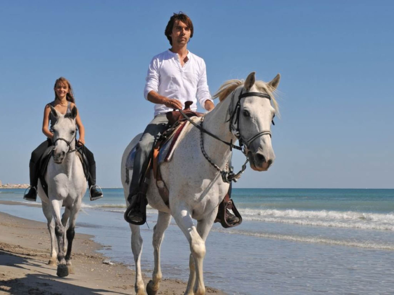 St. Lucia Real Estate Villa Piton horses